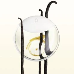 Issey Miyake A Drop D'Issey Eau De Parfum -Célèbre Cosmétiques Magasin a drop d issey 4