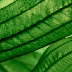 Biotherm Aquasource Aura Concentrate Sérum Régénérant Hydratation Et éclat -Célèbre Cosmétiques Magasin aquasource aura concentrate serum regenerant hydratation et eclat 7