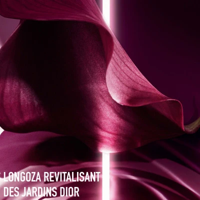 DIOR Capture Totale Super Potent Rich Creme Crème Riche Anti-âge Global 6 DIOR Capture Totale Super Potent Rich Creme Crème Riche Anti-âge Global – Image 4