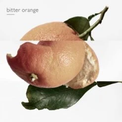 Hermès Eau Des Merveilles Eau De Toilette -Célèbre Cosmétiques Magasin eau merveille edt 6