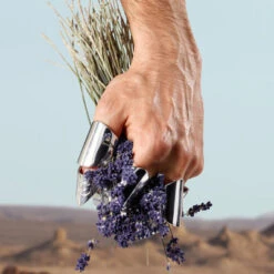 Dolce & Gabbana K By Dolce&Gabbana Eau De Toilette -Célèbre Cosmétiques Magasin k by dolcegabbana 4