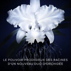 Guerlain Orchidée Impériale La Crème -Célèbre Cosmétiques Magasin orchidee imp creme 3