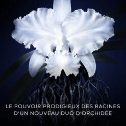 Guerlain Orchidée Impériale La Crème Légère - La Recharge 14 Guerlain Orchidée Impériale La Crème Légère - La Recharge -Célèbre Cosmétiques Magasin orchidee imperiale la creme la recharge 4