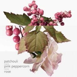 Twilly D'Hermès Eau Poivrée Eau De Parfum -Célèbre Cosmétiques Magasin twilly d hermes eau poivree 3