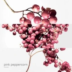 Twilly D'Hermès Eau Poivrée Eau De Parfum -Célèbre Cosmétiques Magasin twilly d hermes eau poivree 4