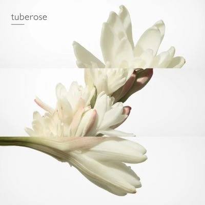 Twilly D'Hermès Eau De Parfum 8 Twilly D'Hermès Eau De Parfum – Image 6