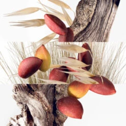 Hermès Un Jardin à Cythère Eau De Toilette -Célèbre Cosmétiques Magasin un jardin a cythere 2